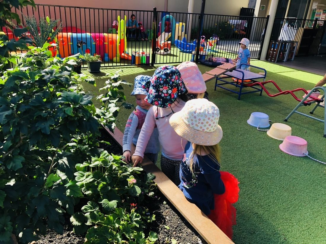 Just For Kids Pennant Hills